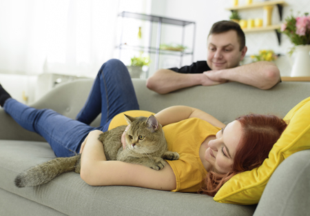 Maintaining your cat's routine